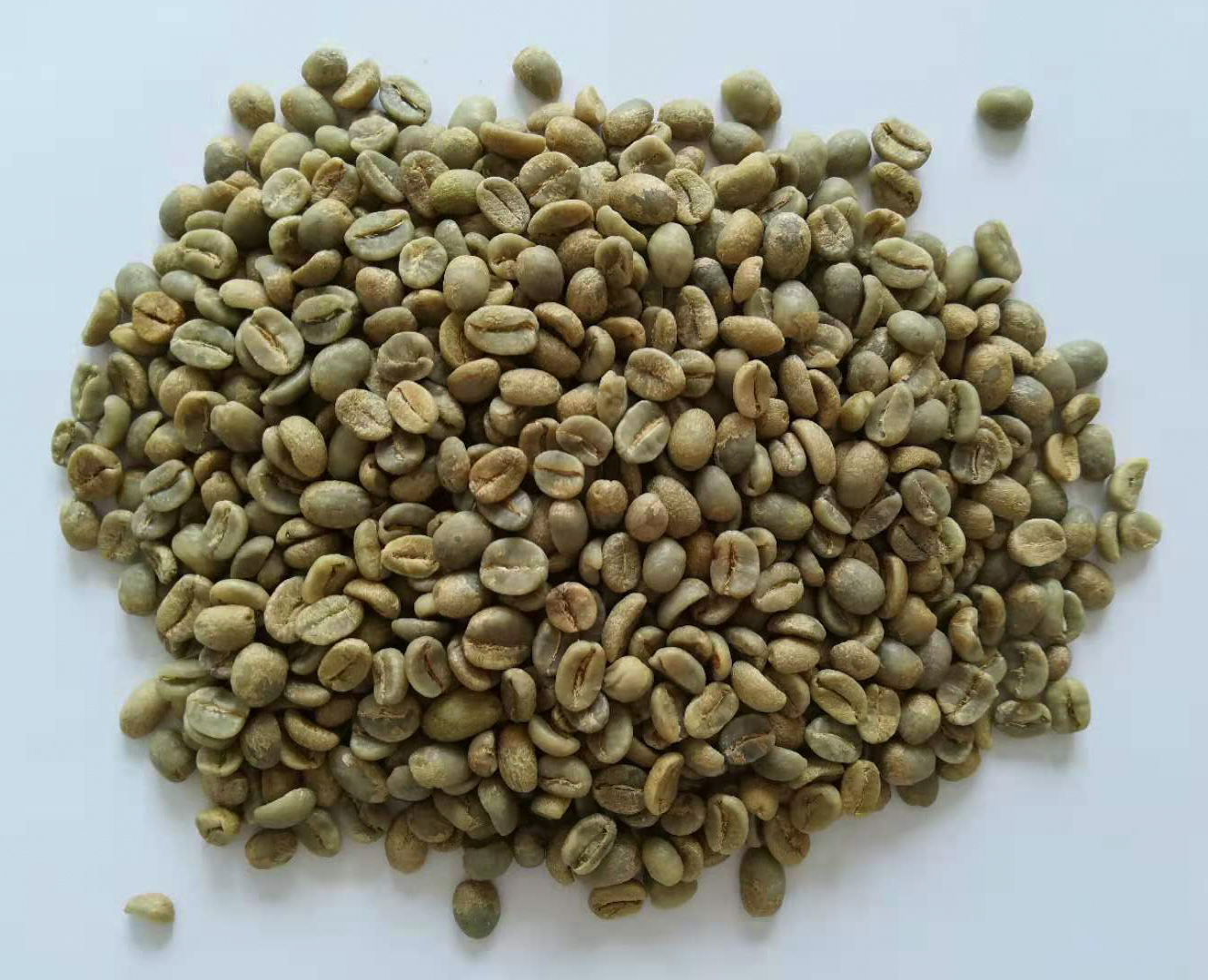 双幽梦影庄园 120小时 生豆图.jpg