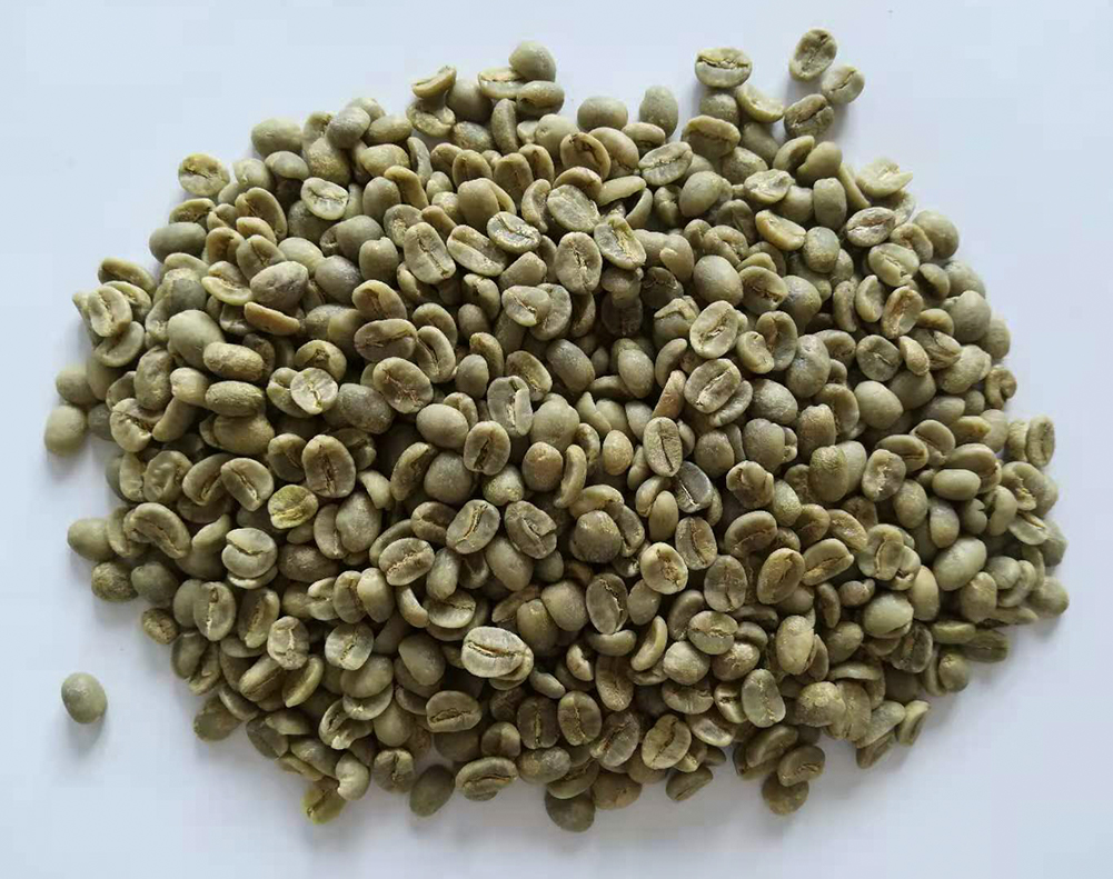 莫雷利亚庄园 生豆图.jpg 莫雷利亚庄园 生豆图.jpg