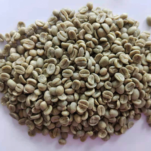 生豆.jpg