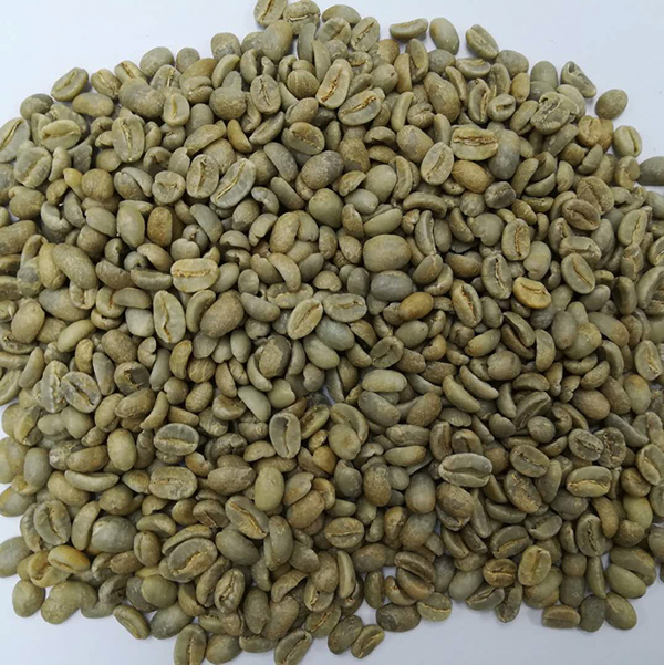生豆.jpg